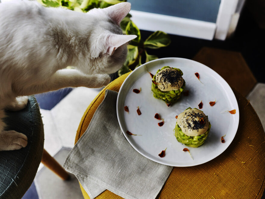 Ristoranti vegani Roma centro